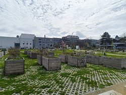 IMG_20240318_134044734.jpg