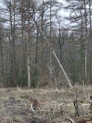 20240318_141650.jpg