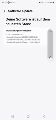 Screenshot_20240319_173037_Software update.jpg
