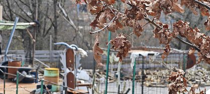 IMG_20240320_110933.jpg
