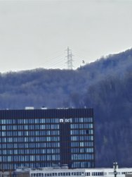 IMG_20240320_135951.jpg
