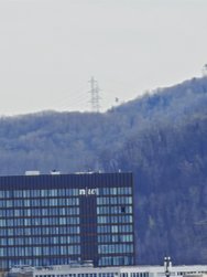 IMG_20240320_135954.jpg