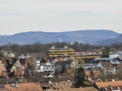 IMG_20240320_140008.jpg
