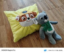 IMG_20240320_173309.jpg