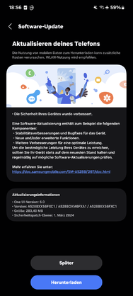 Screenshot_20240320_185638_Software update.png