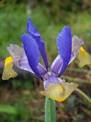IMG_20240320_175946.jpg