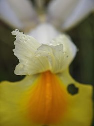 IMG_20240320_180019.jpg