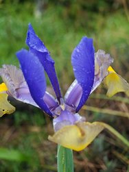 IMG_20240320_180050.jpg