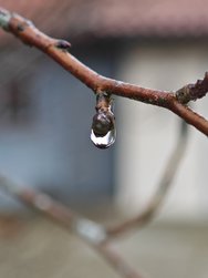 IMG_20240320_180219.jpg