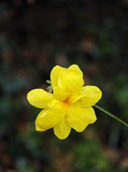 IMG_20240320_180533.jpg