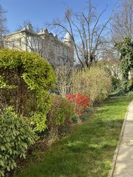 IMG_2806.jpeg