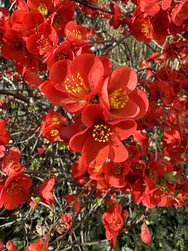 IMG_2807.jpeg