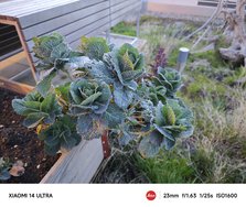 IMG_20240320_185502.jpg