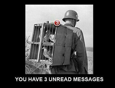 uploadfromtaptalk1355151864658.jpg