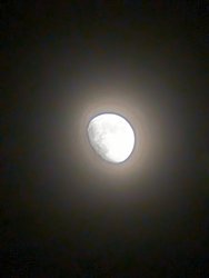 PXL_20240320_193948472.NIGHT.jpg