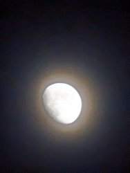 PXL_20240320_193928062.LONG_EXPOSURE-01.COVER.jpg