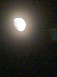 PXL_20240320_193900945.jpg