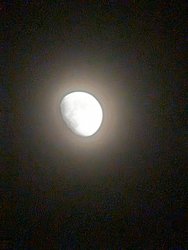 PXL_20240320_193857438.jpg
