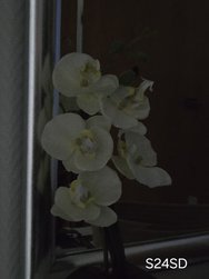 20240320_231501.jpg