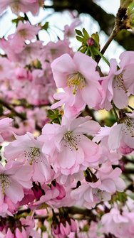 IMG_20240320_162413~2.jpg