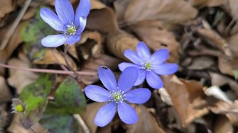 IMG_20240320_135535.jpg