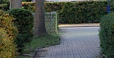 1s23.png