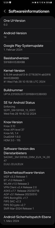 Screenshot_20240321_122904_Settings.jpg