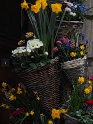 IMG_8694.jpeg