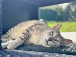 IMG_0276.jpeg