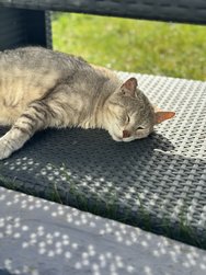 IMG_0272.jpeg