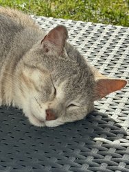IMG_0273.jpeg