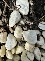 IMG_0269.jpeg