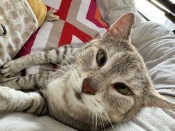 IMG_0234.jpeg