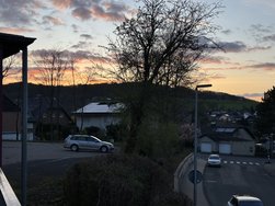 IMG_0106.jpeg