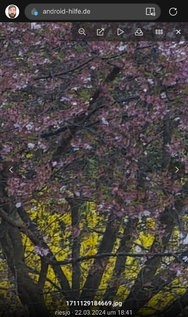 IMG_8748.jpeg