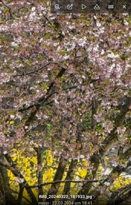 IMG_8749.jpeg