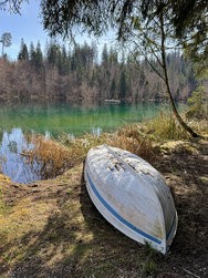IMG_8719.jpeg