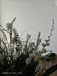 IMG_20240322_112720.jpg