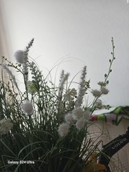 20240322_113638.jpg