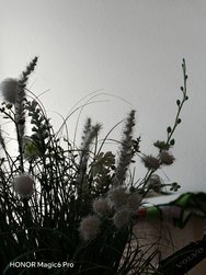 IMG_20240322_112820.jpg