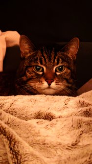 IMG_20240322_215747.jpg