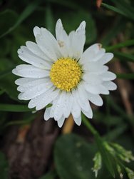 IMG_20240322_220458.jpg