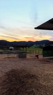 IMG_20240320_184532.jpg
