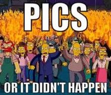 images.jpeg