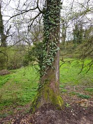 20240323_081143.jpg
