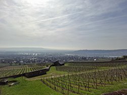 20240320_105937.jpg