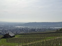 20240320_115947.jpg