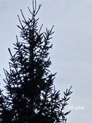 1711112674746.jpg