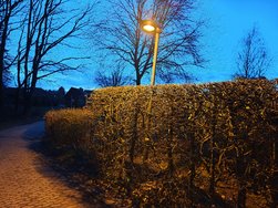 IMG_20240323_191459.jpg
