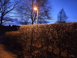 20240323_191427.jpg
